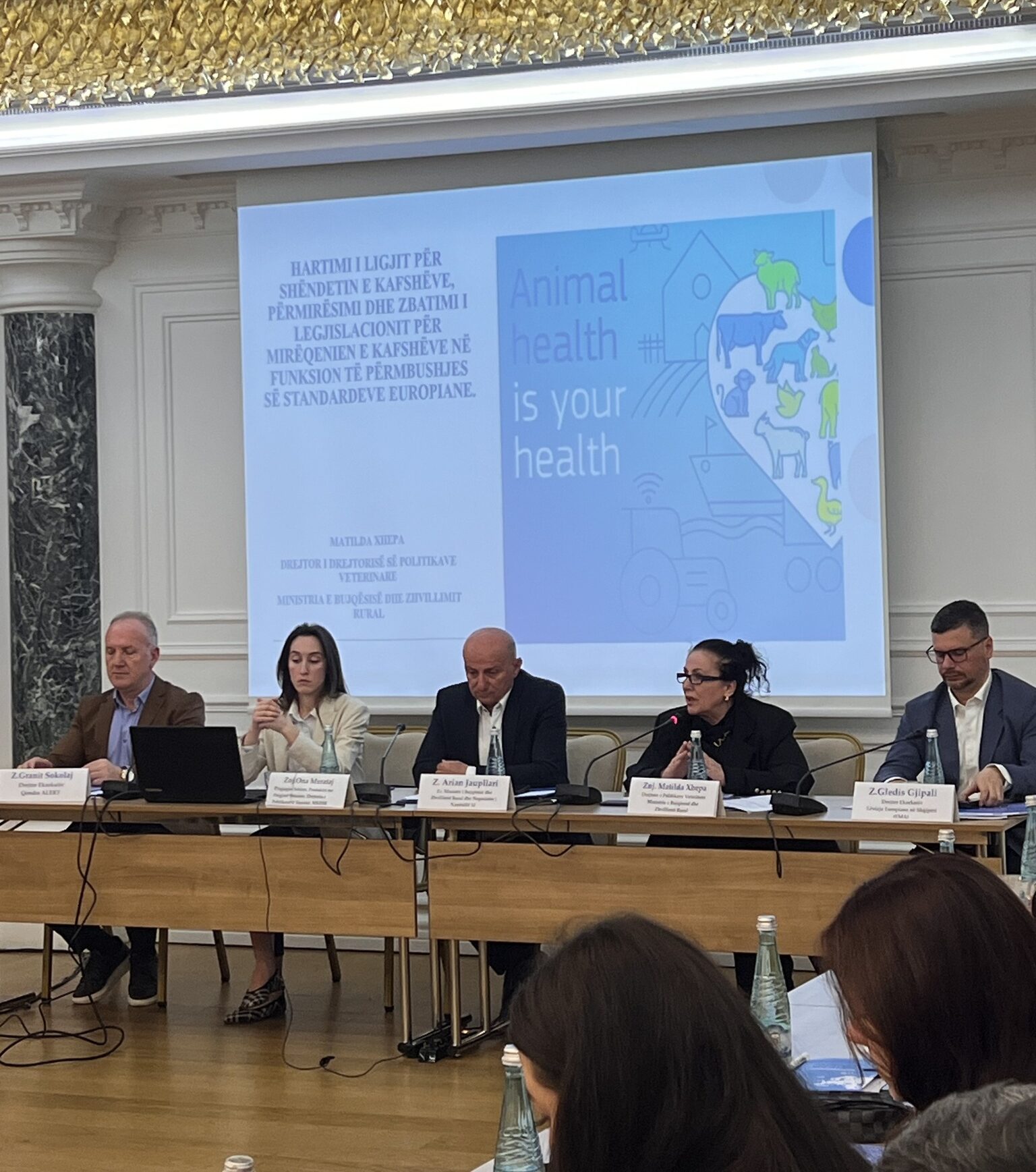 Working Group for Chapter 12 – Strengthening the Regulatory Framework for Official Controls and the Categorisation of Entities in Albania within the Framework of the Negotiation Process, 28 April 2026